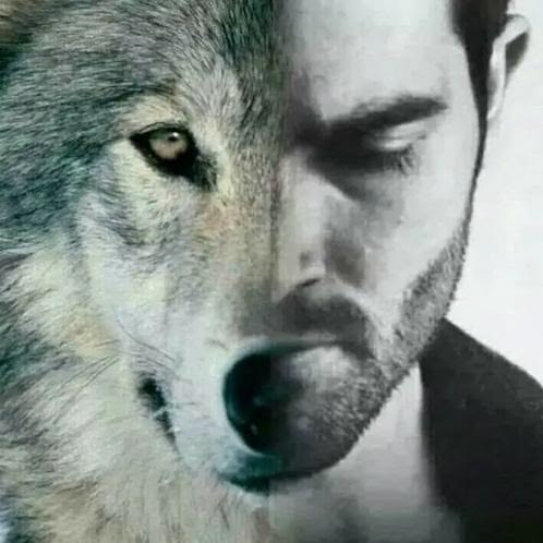 Half Wolf, Half Human